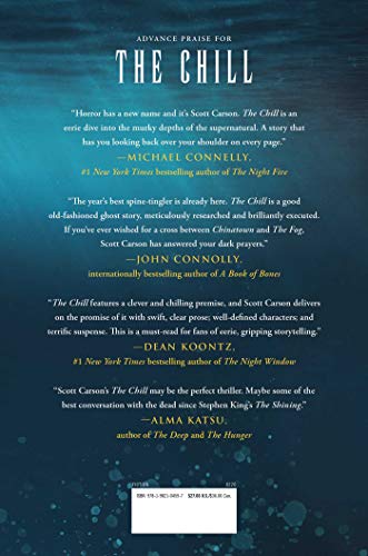 The Chill: A Novel — back cover
