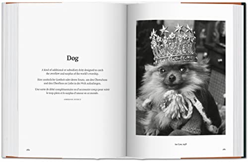 The Dog in Photography / Der Hund In Der Fotografie / Le Chien Dans La Photographie: 1839-today