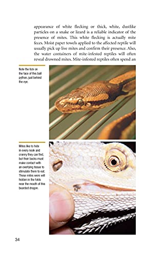 Understanding Reptile Parasites, 2nd Edition (CompanionHouse Books) Recognizing Mites, Harmful Protozoa, Tapeworm, and More in Snakes, Geckos, Turtles, and Other Reptiles (Advanced Vivarium Systems)