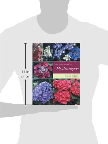 Encyclopedia of Hydrangeas