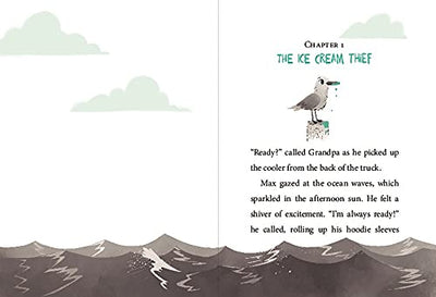Wind Riders #1: Rescue on Turtle Beach