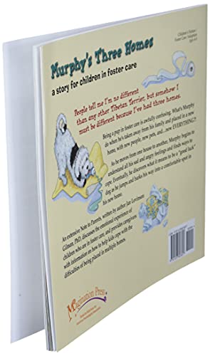 Murphy's Three Homes: A Story for Children in Foster Care