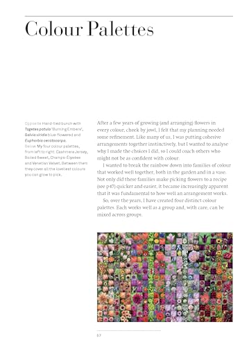 A Year of Cut Flowers: Color and Joy for All Seasons