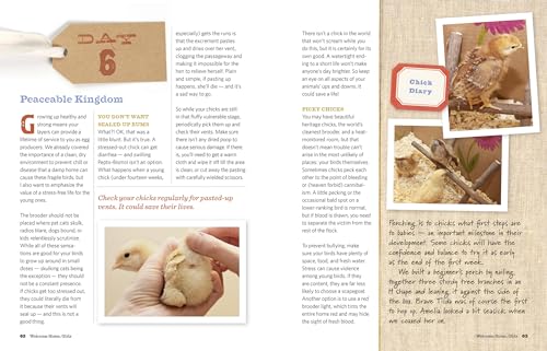 An Absolute Beginner's Guide to Keeping Backyard Chickens: Watch Chicks Grow from Hatchlings to Hens