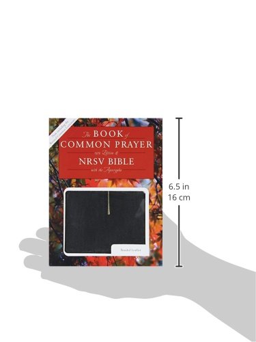 The Book of Common Prayer & the Holy Bible, NRSV, Black by C