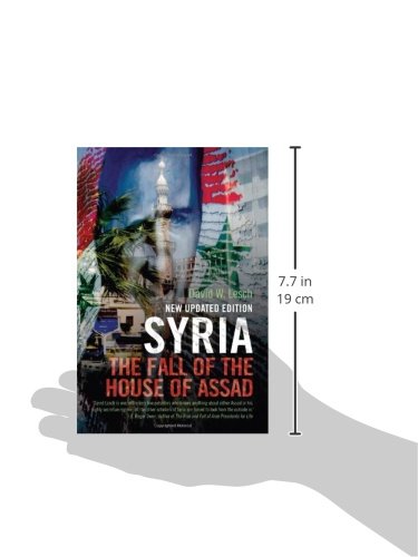 Syria: The Fall of the House of Assad New Updated Edition