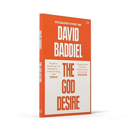 The God Desire: A witty and profound Sunday Times bestselling philosophical essay
