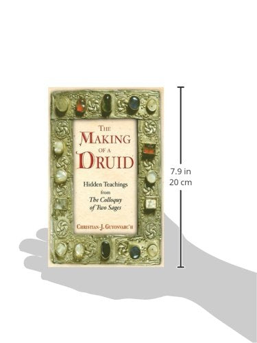 The Making of a Druid: Hidden Teachings from The Colloquy of