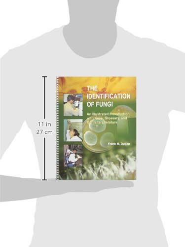 The Identification of Fungi: An Illustrated Introduction With Keys, Glossary, And Guide to Literature