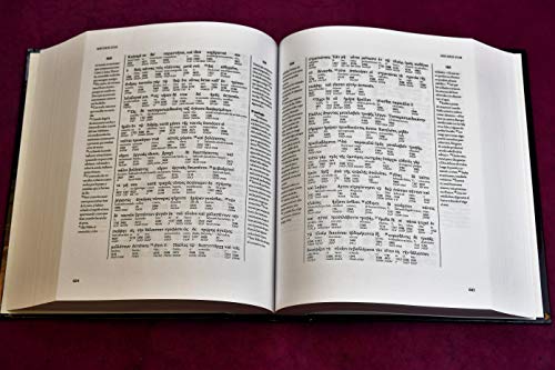 Interlineal acadmico del Nuevo Testamento: Griego-Espaol (Spanish Edition)