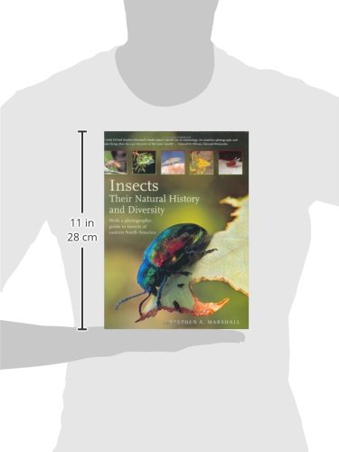 Insects: Their Natural History and Diversity: With a Photographic Guide to Insects of Eastern North America