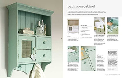 The Annie Sloan Collection: 75 step-by-step paint projects and ideas to transform your home