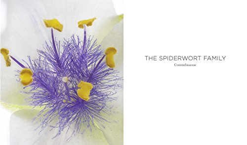 Seeing Flowers: Discover the Hidden Life of Flowers (Seeing Series)