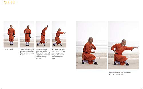 Instant Fitness: The Shaolin Kung Fu Workout (Instant Health The Shaolin Qigong Workou)