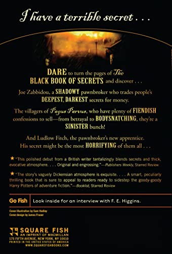 The Black Book of Secrets by Higgins, F. E.