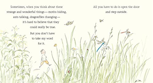 Insect Detective: Read and Wonder by Voake, Steve