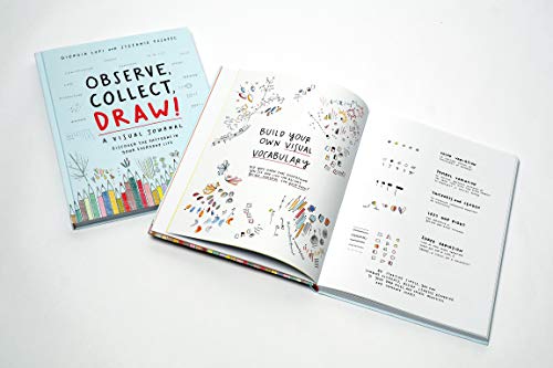 Observe Collect Draw!: A Visual Journal