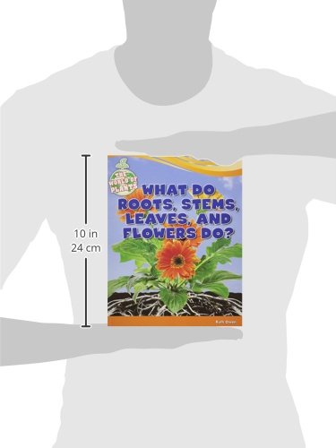What Do Roots, Stems, Leaves, and Flowers Do? (The World of Plants)