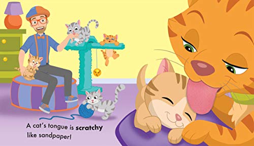 Blippi: Pets (Touch and Feel)