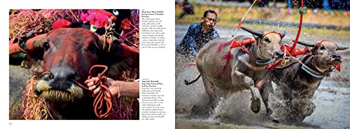 Thailand: Buddhist Kingdom at the Heart of South East Asia (Travel Landscape)