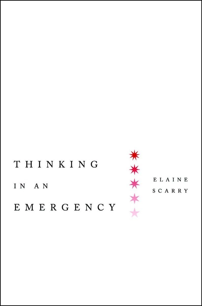 Thinking in an Emergency (Norton Global Ethics Series)