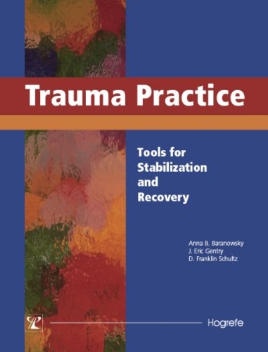 Trauma Practice: Tools For Stabilization And Recovery