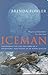 Iceman: Uncovering the Life and Times of a Prehistoric Man Found in an Alpine Glacier