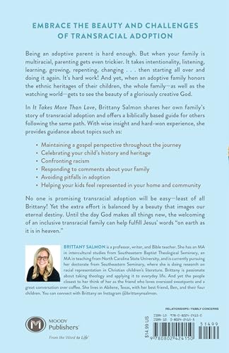 It Takes More Than Love: A Christian Guide to Navigating the Complexities of Cross-Cultural Adoption