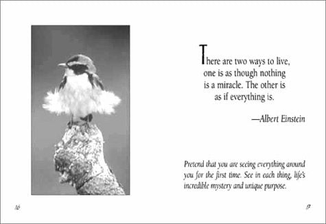 With Beauty Before Me: An Inspirational Guide for Nature Walks (Sharing Nature Pocket Guide)