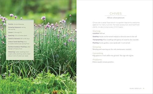 Raised-Bed Gardening for Beginners: Your Guide to Growing Sustainability and Self-Sufficiency