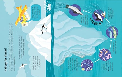 Usborne LOTS OF THINGS TO KNOW ABOUT SEAS AND OCEANS.