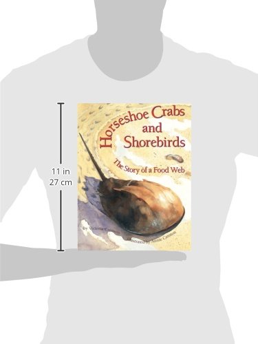 Horseshoe Crabs and Shorebirds: The Story of a Food Web