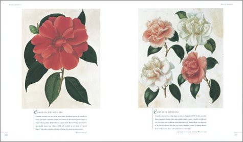 Flora: An Illustrated History of the Garden Flower - Compact