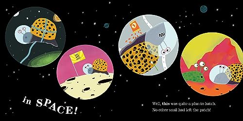 Snail in Space
