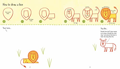 Step-by-Step Drawing Zoo Animals