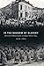 In the Shadow of Slavery: African Americans in New York City, 1626-1863 (Historical Studies of Urban America)