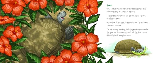 Memoirs of a Tortoise