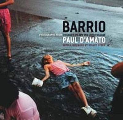 Barrio: Photographs from Chicago's Pilsen and Little Village (Chicago Visions and Revisions)