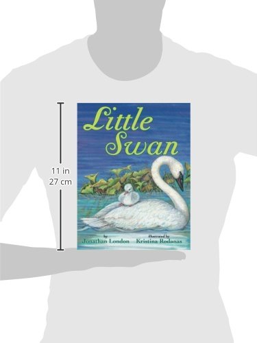 Little Swan