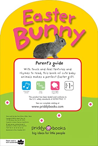Easter Bunny (Baby Touch and Feel)
