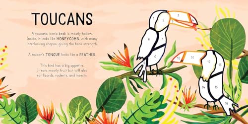 Color with Stickers: Jungle: Create 10 Pictures with Sticker
