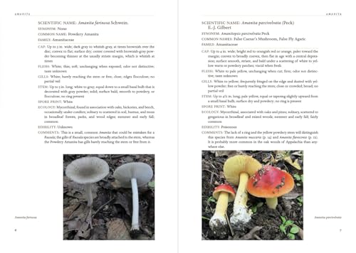 Appalachian Mushrooms: A Field Guide