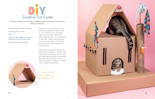 A Kid's Guide to Cats: How to Train, Care for, and Play