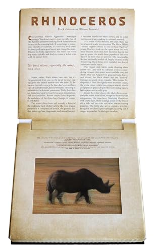 Safari: A Photicular Book