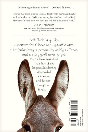 Flash: The Homeless Donkey Who Taught Me about Life, Faith, and Second Chances (Flash the Donkey)