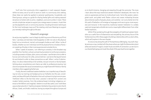 The Apothecary of Belonging: Seasonal Rituals and Practical Herbalism