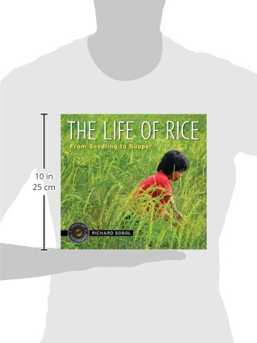 The Life of Rice: From Seedling to Supper (Traveling Photographer)