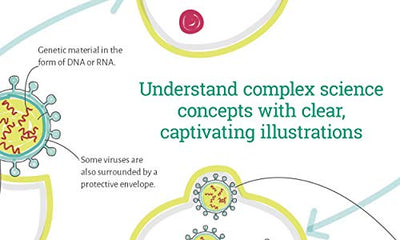 Visual Learning: Biology: An illustrated guide for all ages (Barron's Visual Learning)