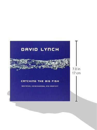 Catching the Big Fish: Meditation, Consciousness, and Creativity