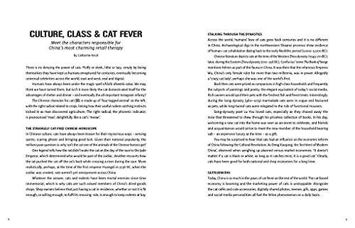 Shop Cats of China